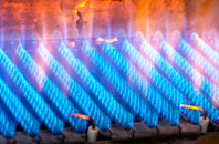 Talerddig gas fired boilers